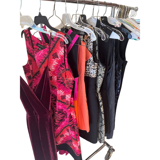 10 Pc Women’s Designer Dress Lot Mixed Sizes Tahari Vivienne Tam Three Floor
