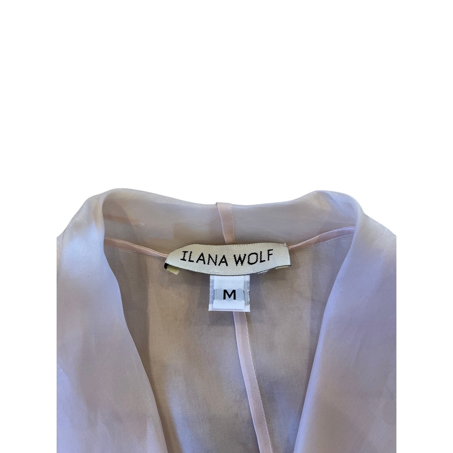 Ilana Wolf Blush Pink Sheer Bow Front Blouse Size M Long Sleeve Dressy Top
